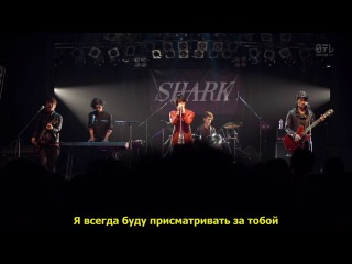 shark (episode 12) (russian subtitles) / shark (hd 720p)